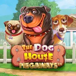 The Dog House Megaways gra w Robocat Casino dla graczy z Polski The Dog House Megaways gra w Robocat Casino dla graczy z Polski