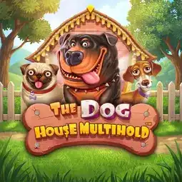 The Dog House Multihold gra w Robocat Casino dla graczy z Polski The Dog House Multihold gra w Robocat Casino dla graczy z Polski